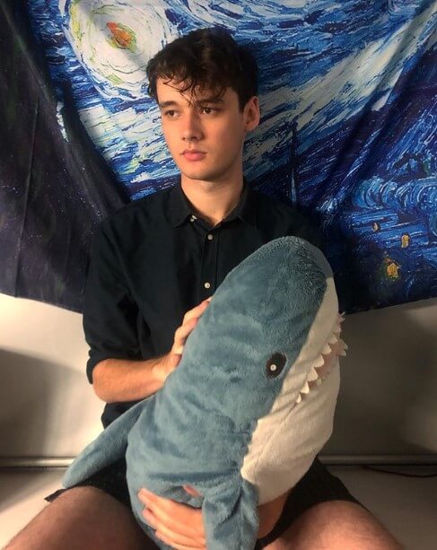 Wilbur Soot Wiki, Net Worth, Age, Height, Girlfriend, Parents, Family, Lifestyle