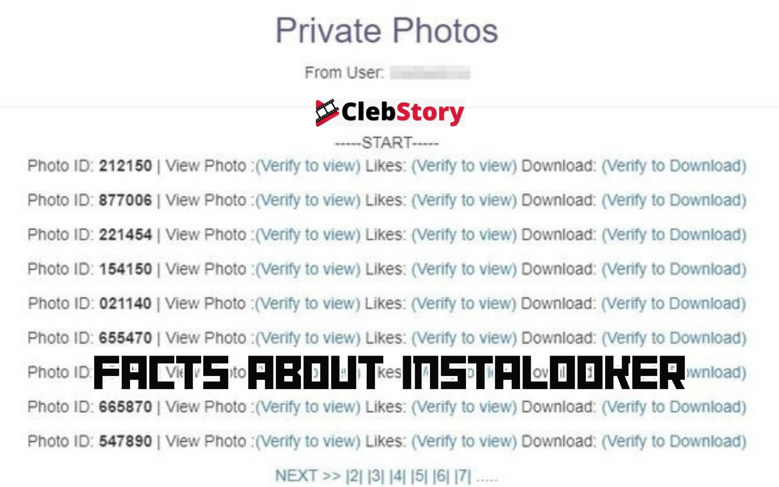 Facts about Instalooker
